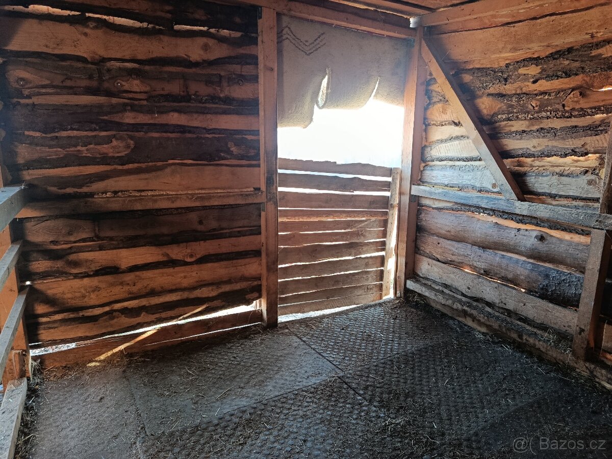 Pastevní ustájení - 4
