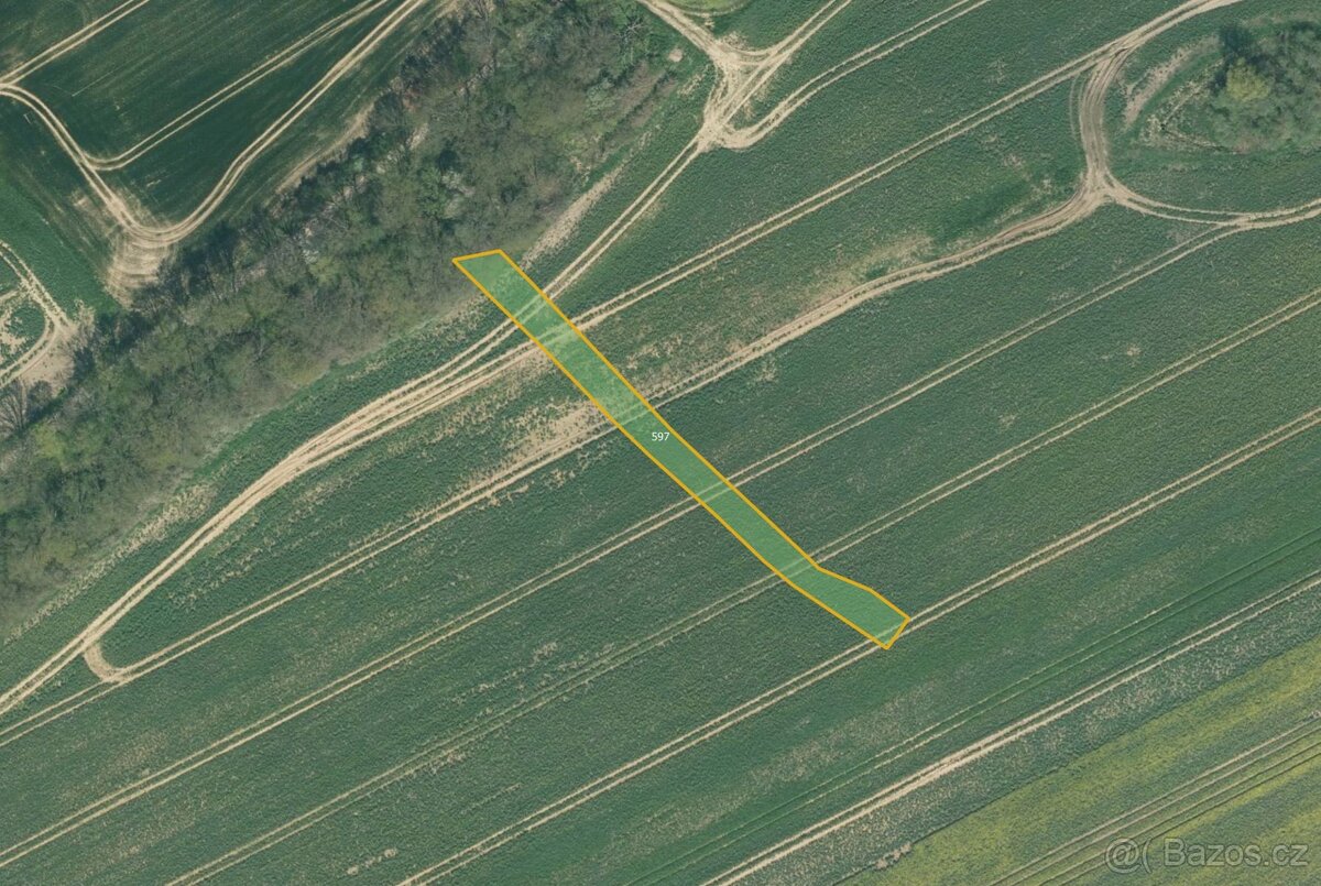 Zemědělská půda, prodej, Vlastiboř, Tábor - 4