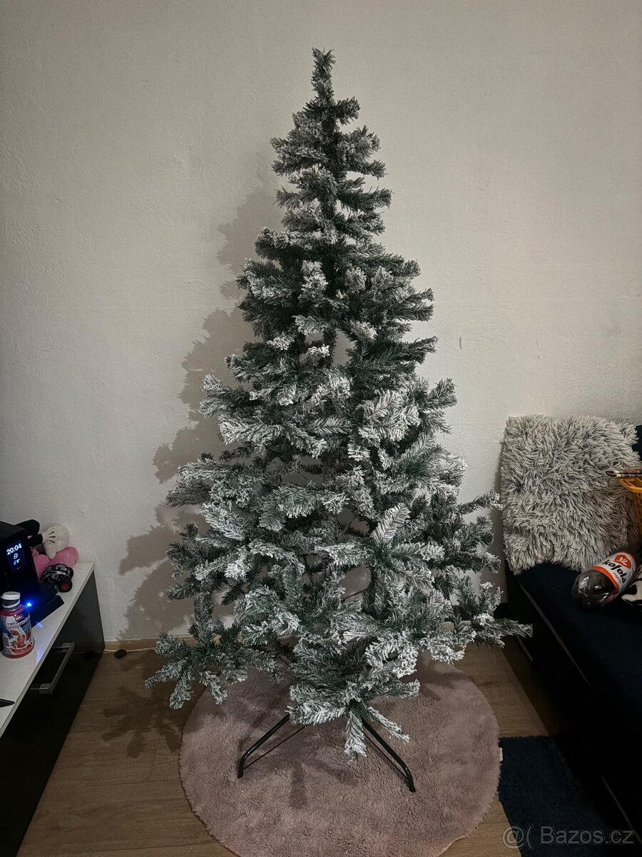 Stromeček zasněžený - 4