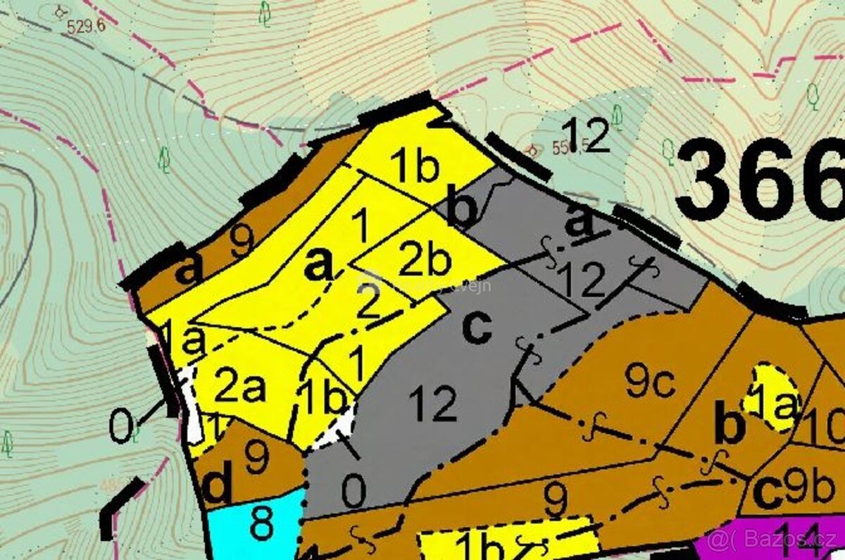 Lesní pozemky k.ú. Prlov - 4