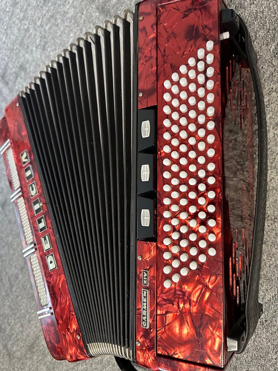 Akordeon, Harmonika - 4