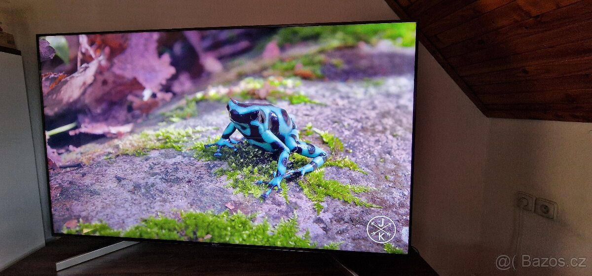 4K LED 65" TV Sony KD-65XF9005 - 4