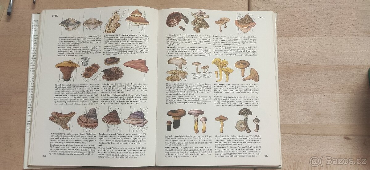 Příroda v ČSSR - 4