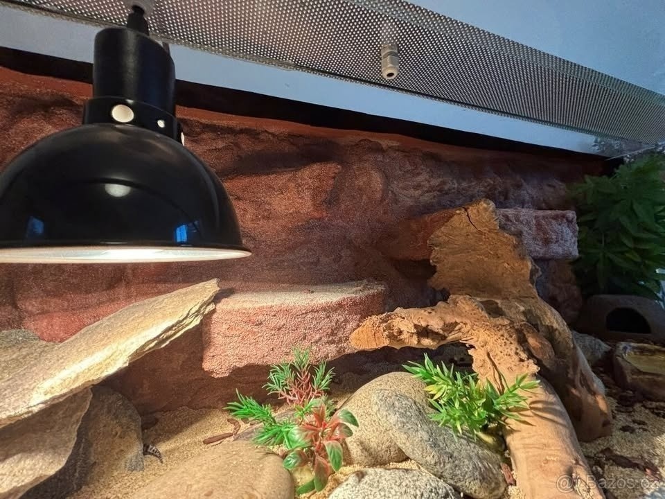 Terárium 120x50x50 s australským pozadím - 4