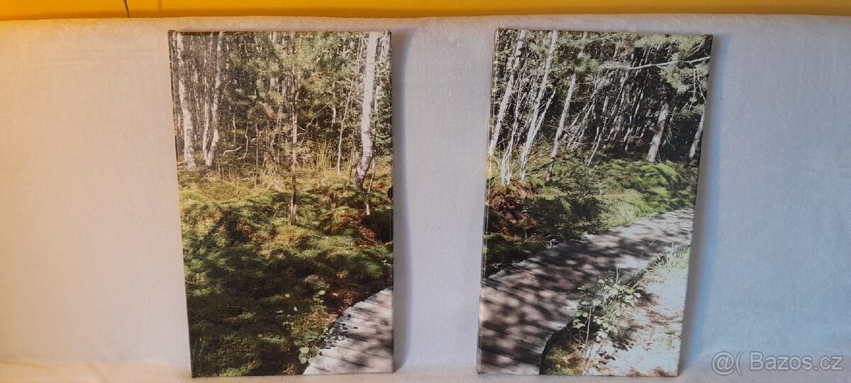 3 OBRAZY s místy známé ŠUMAVSKÉ KRAJINY - 4