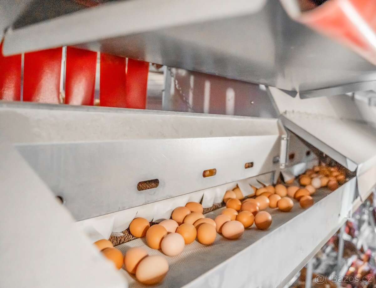 PROFI Mobilní kurník STARTER MAX – Až 450 nosnic - 4