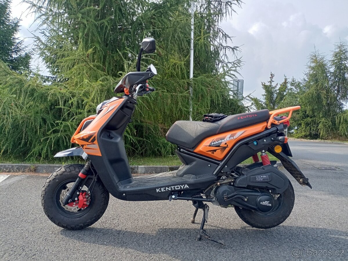 Kentoya Hamster-I - 4