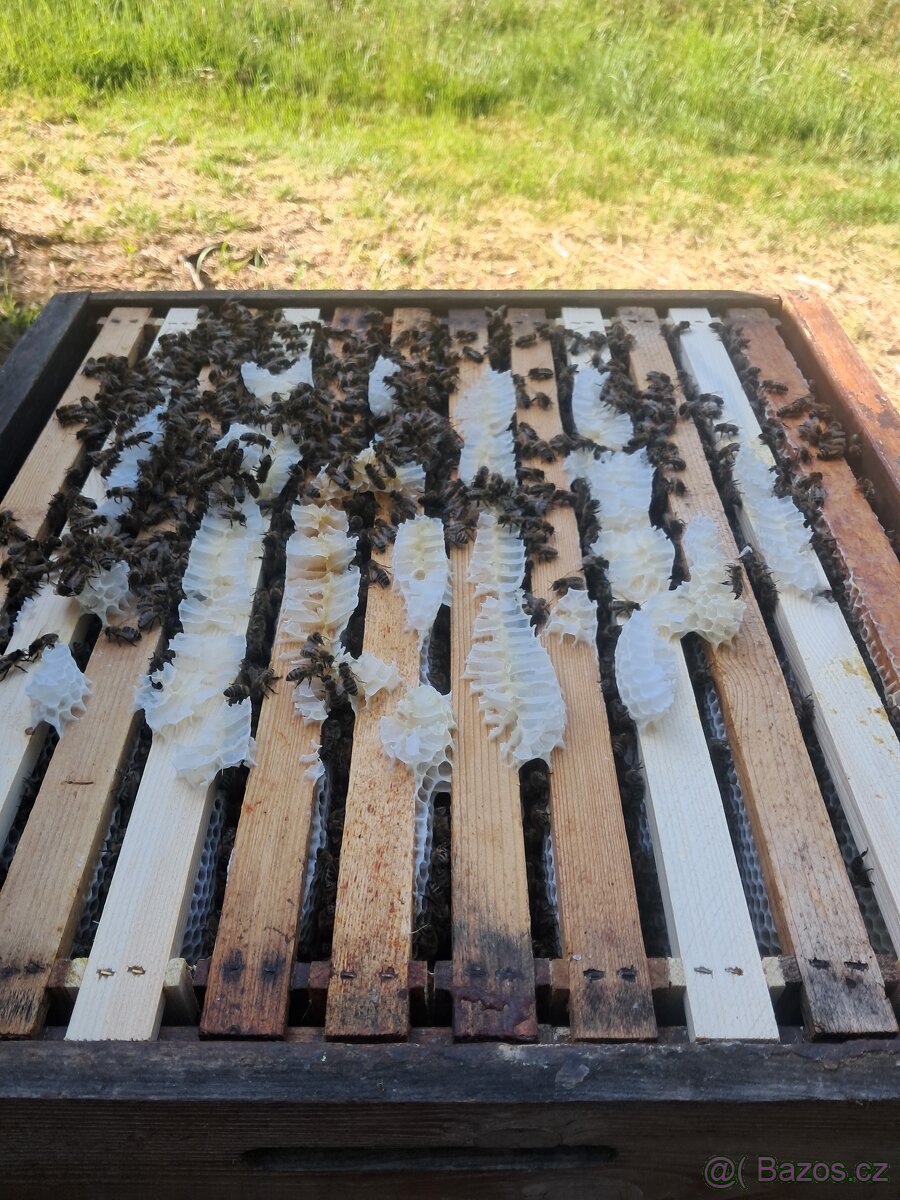 Včelí med - smíšený - 4