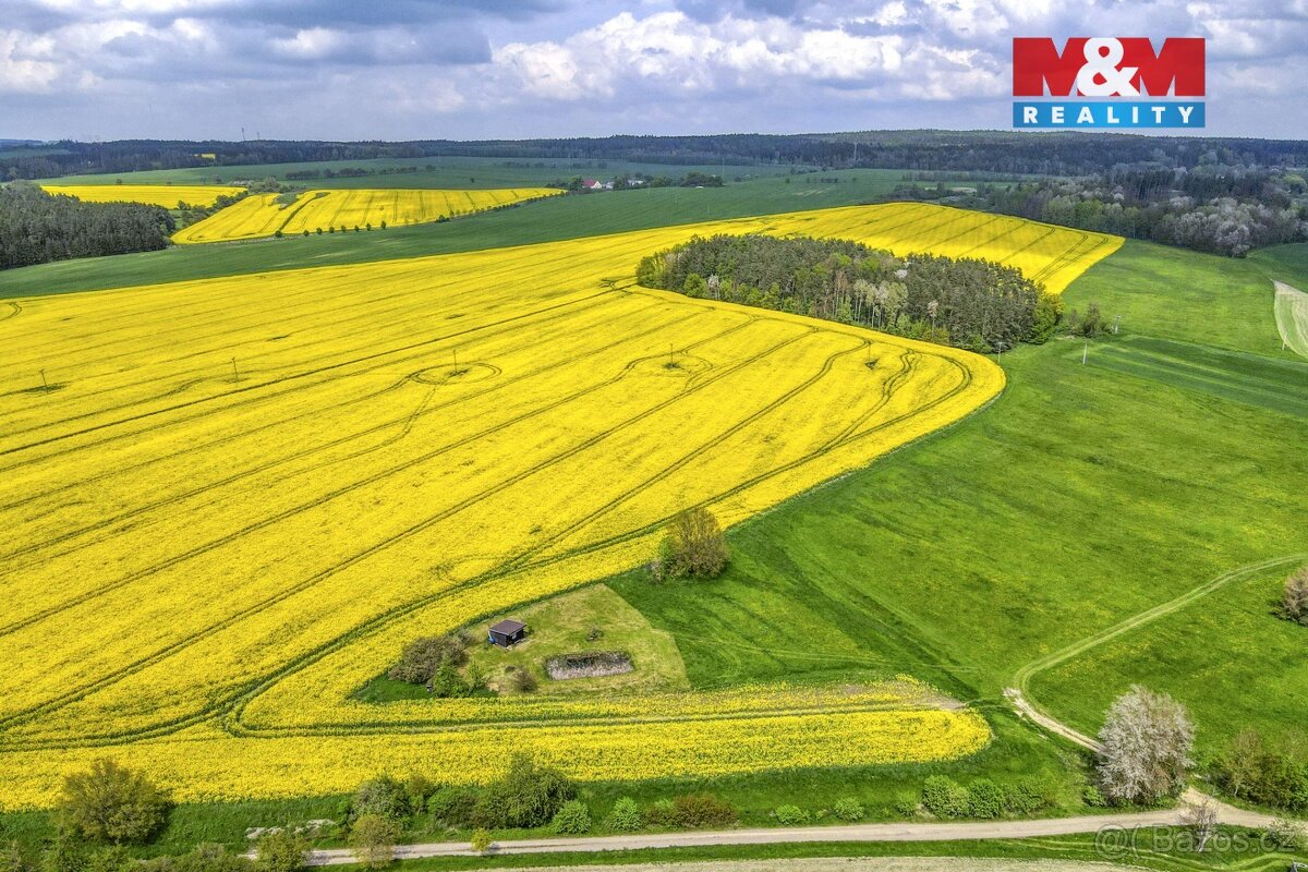 Prodej pole, 6672 m², Pláň, Ostrov u Bezdružic - 4