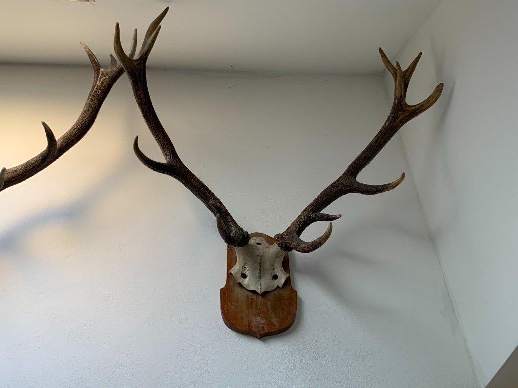 Parohy a paroží - 4