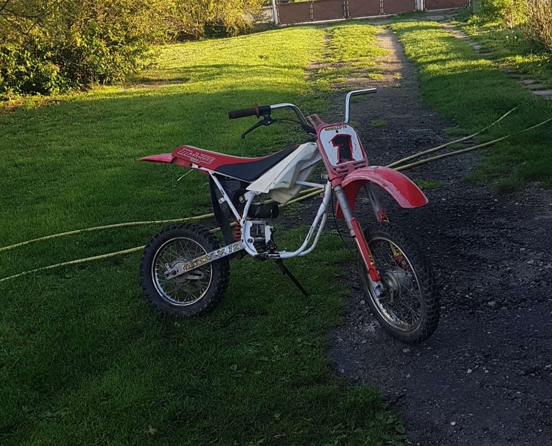 Cross malagutti