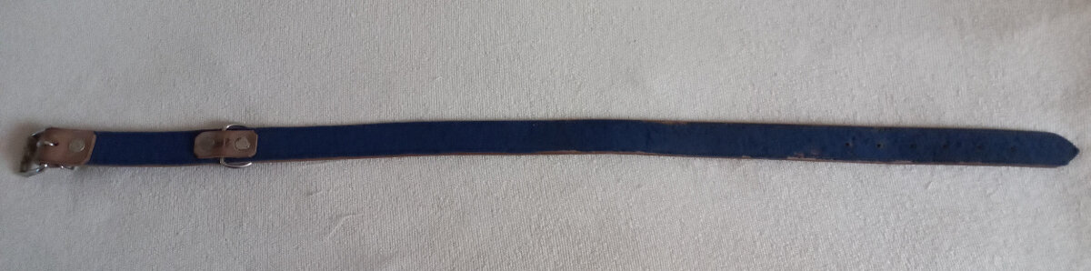 Prodám kožený obojek béžový - 4