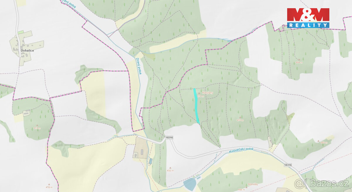 Prodej lesa, 10594 m², Koloveč - 4