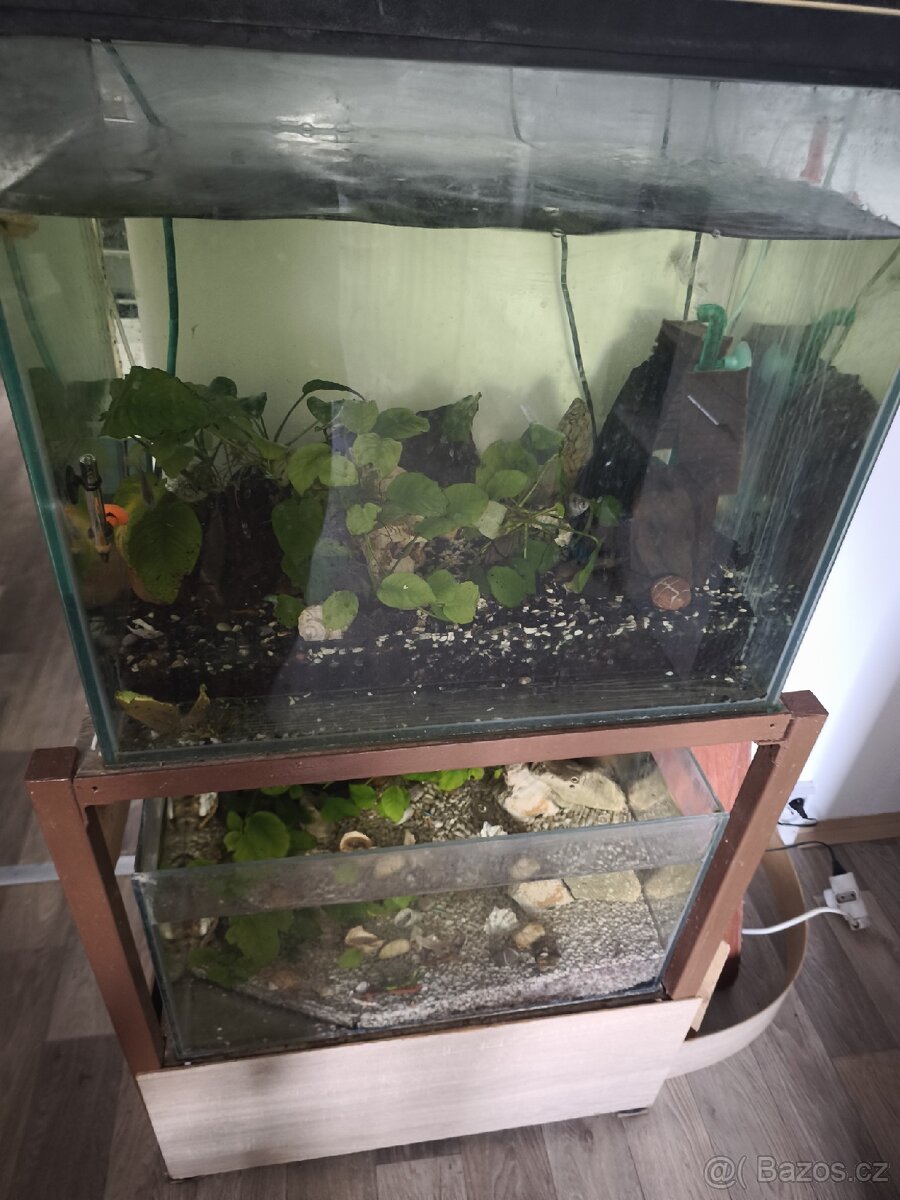 Prodej akvaria - 4