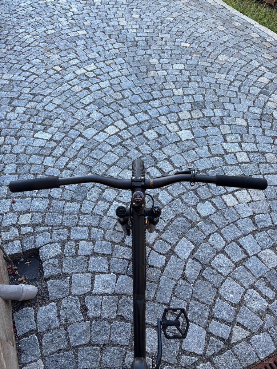 Mongoose ritual dirt - 4