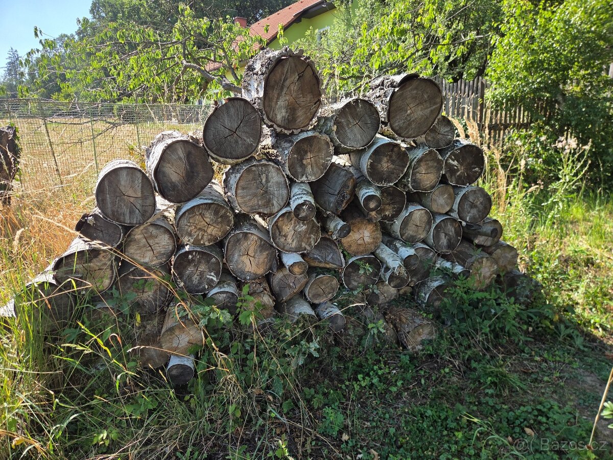 Prodej dřeva - 4
