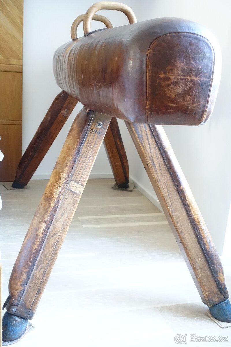 Gymnastický kůň, atletický kůň, tělocvičný kůň - 4