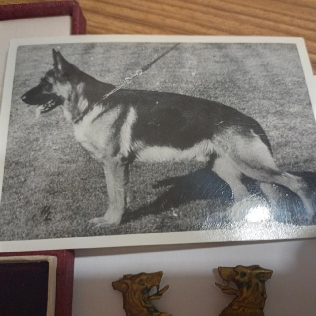 POHRANIČNÍ STRÁŽ - 4