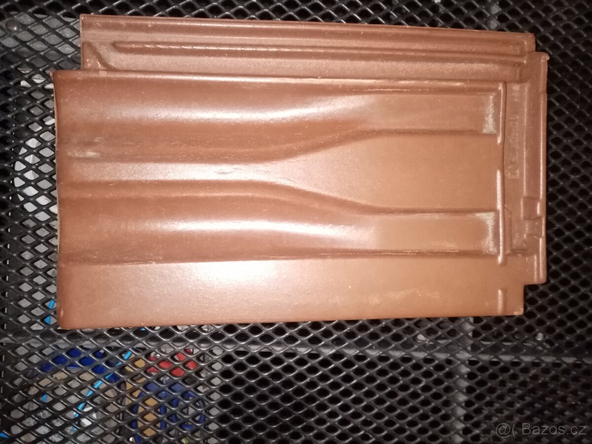 Koupím hřebenáče na foto - 4