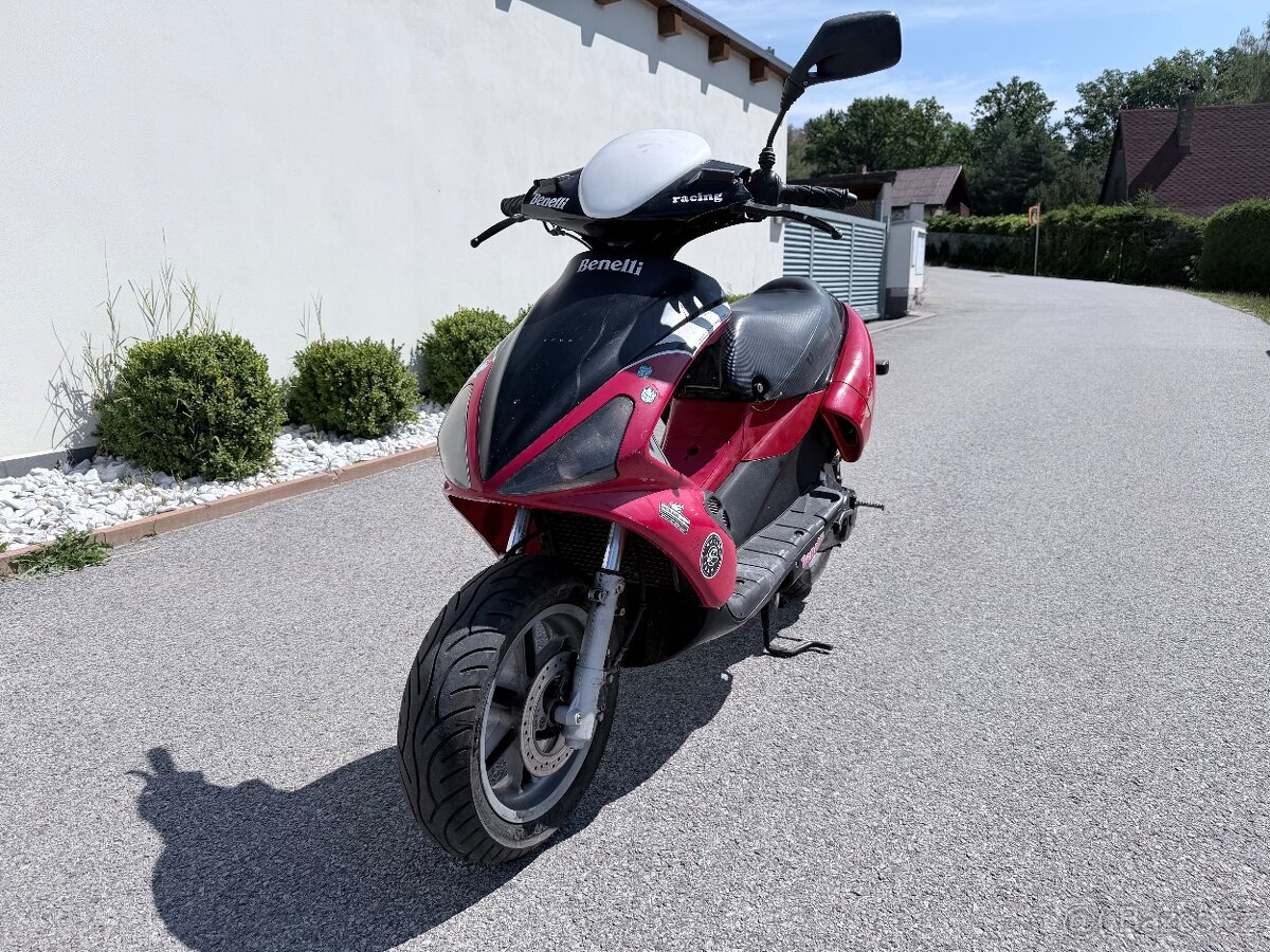 Benelli 491 RR - 4