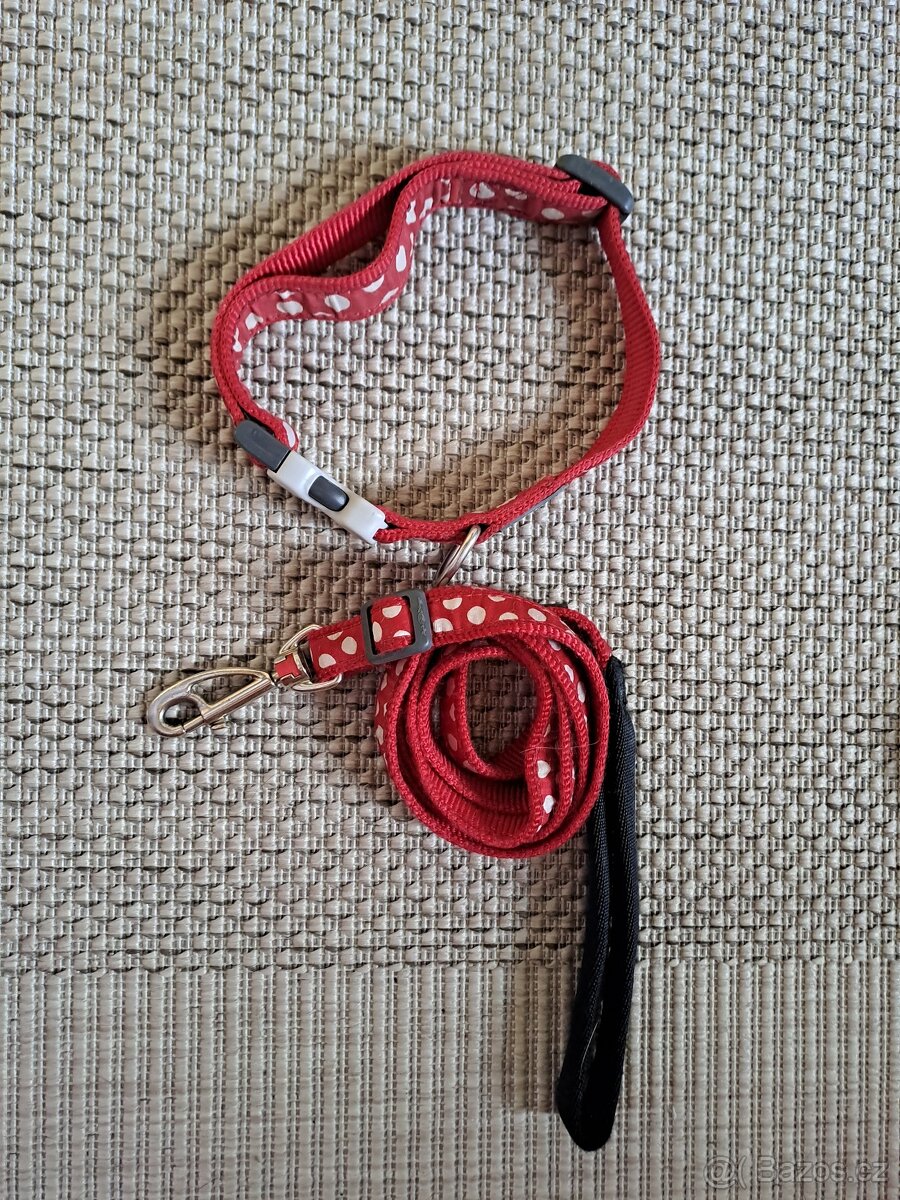2x Obojek a vodítko Red Dingo - 4