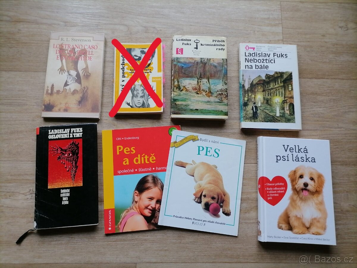 Knihy různých žánrů, vhodné jako dárek - 4