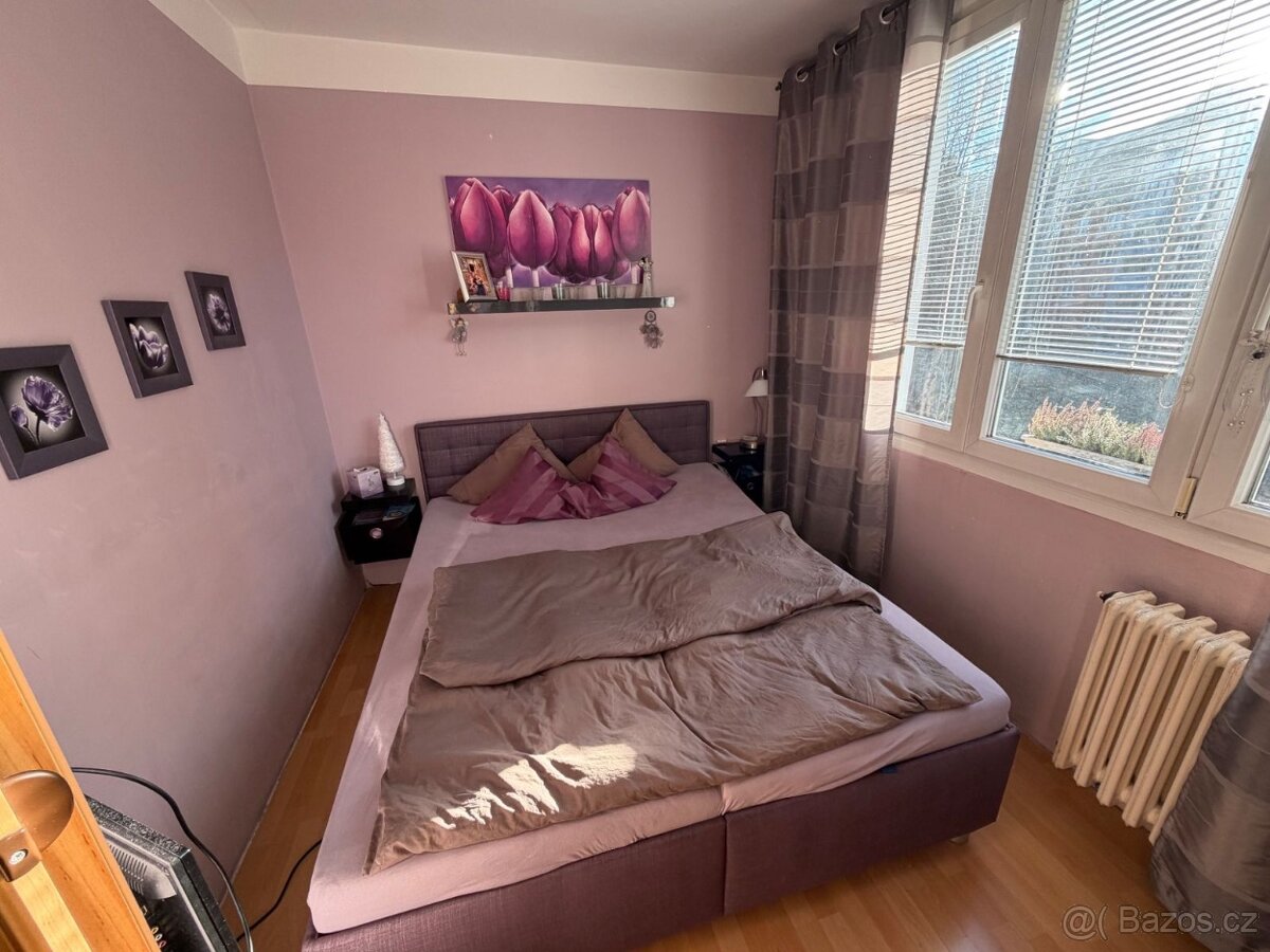 Pronájem bytu - 4