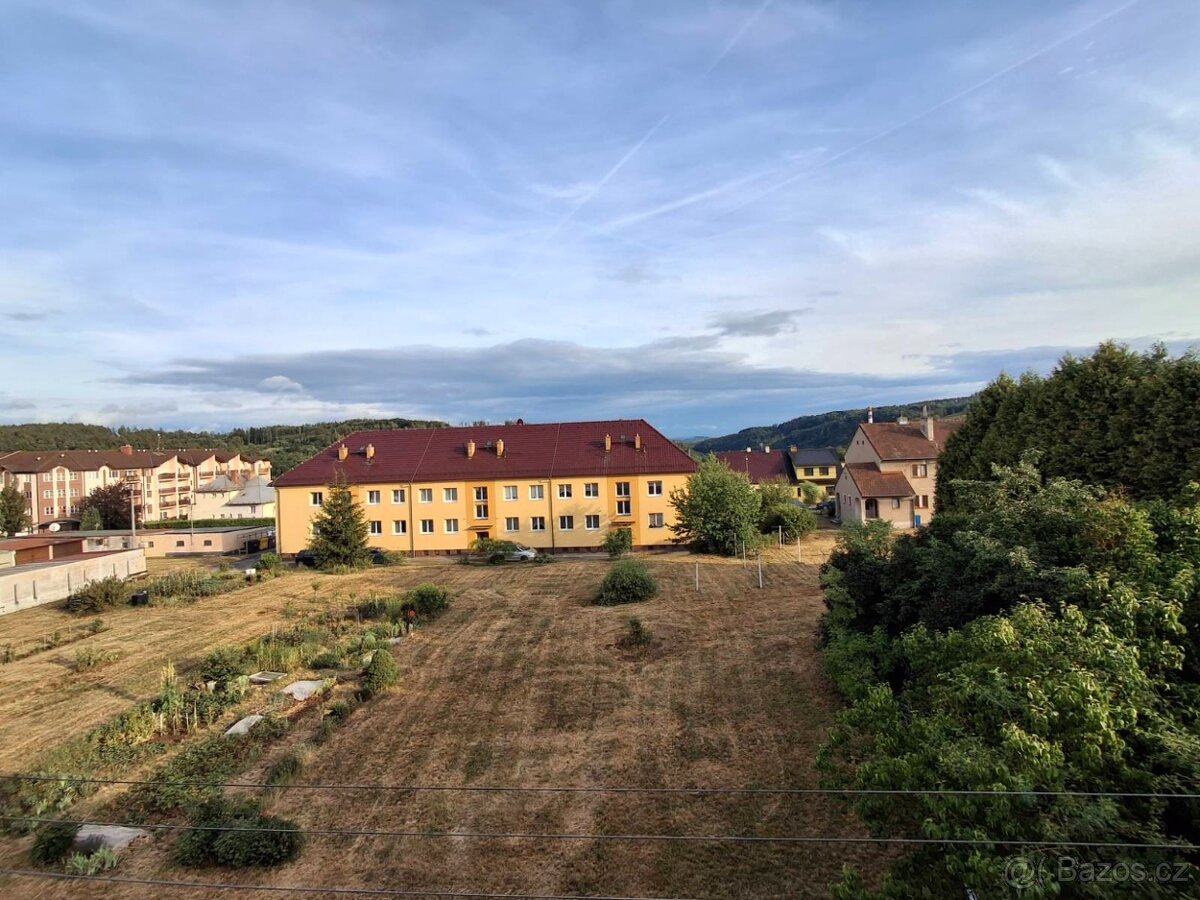 Prodej bytu 2+1 Letovice - 4