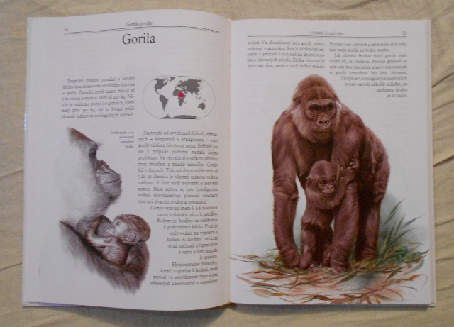 Kůs, Knotkovi - Mláďata v ZOO - 1993 - 4