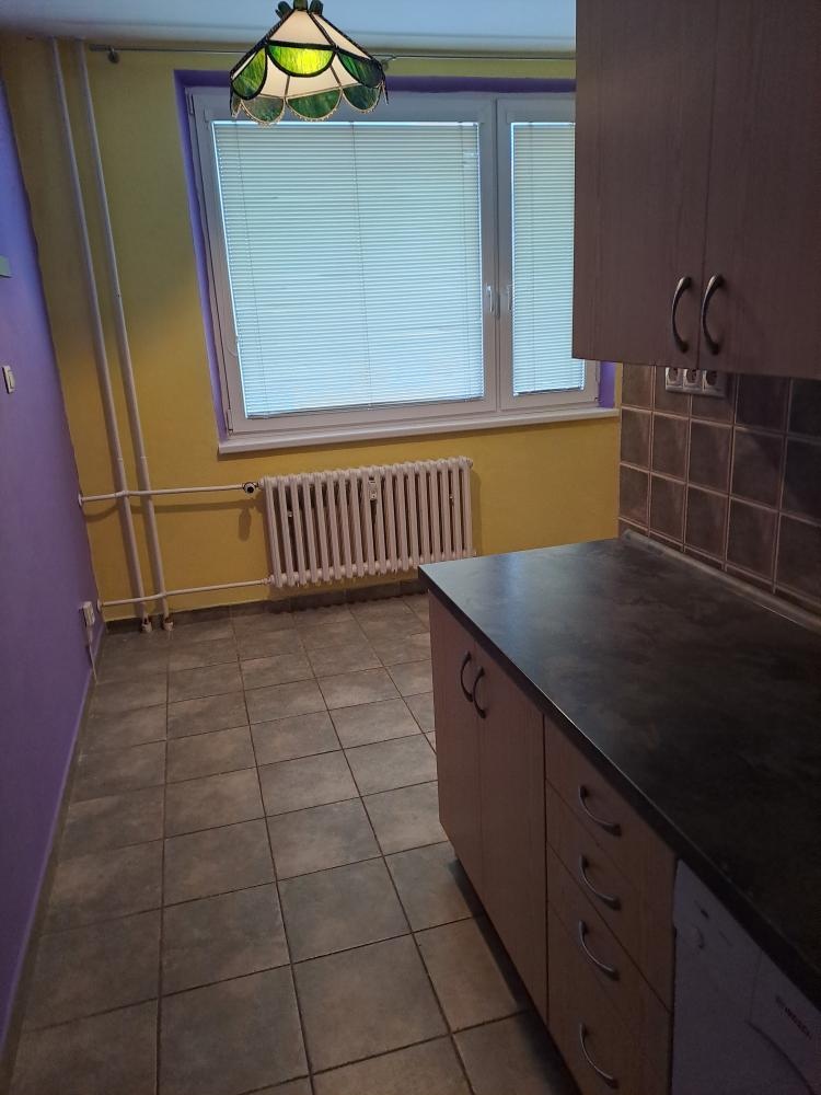 Pronájem bytu 2+1 - 4