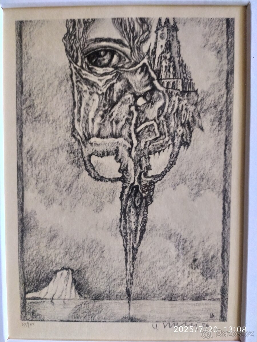 Nabízím grafický list v rámu" Oko v růži s hradem" - 4