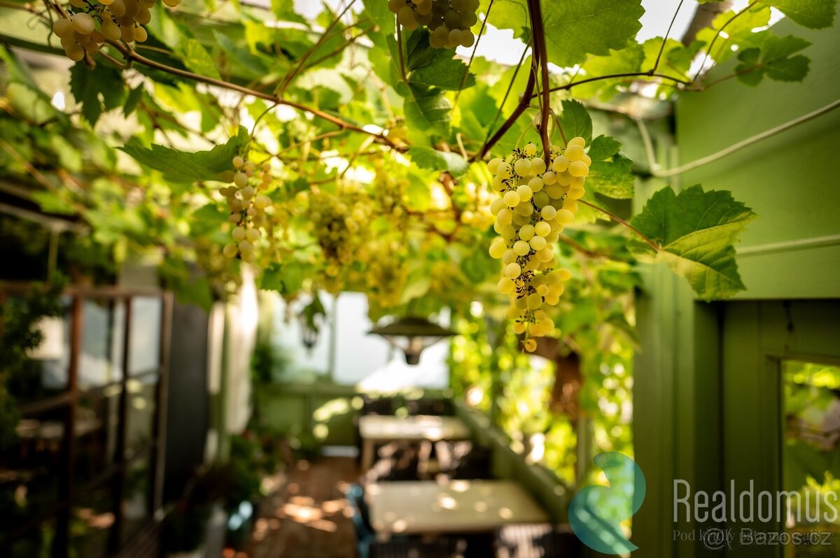 Pronájem, restaurace s ubytováním 150 m2 + 178 m2, Chvaletic - 4