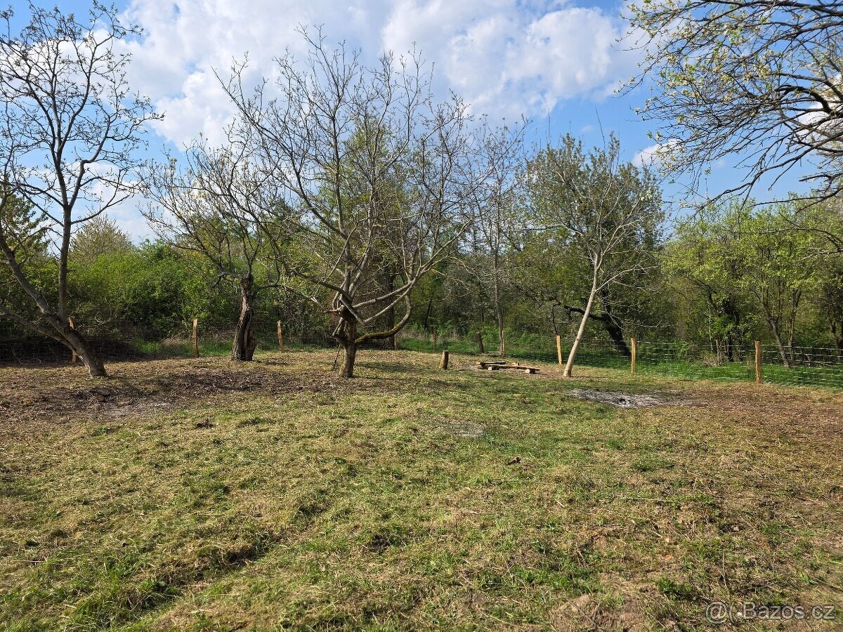 🌿 PRODEJ ZAHRADY – Újezdec u Osvětiman - 4