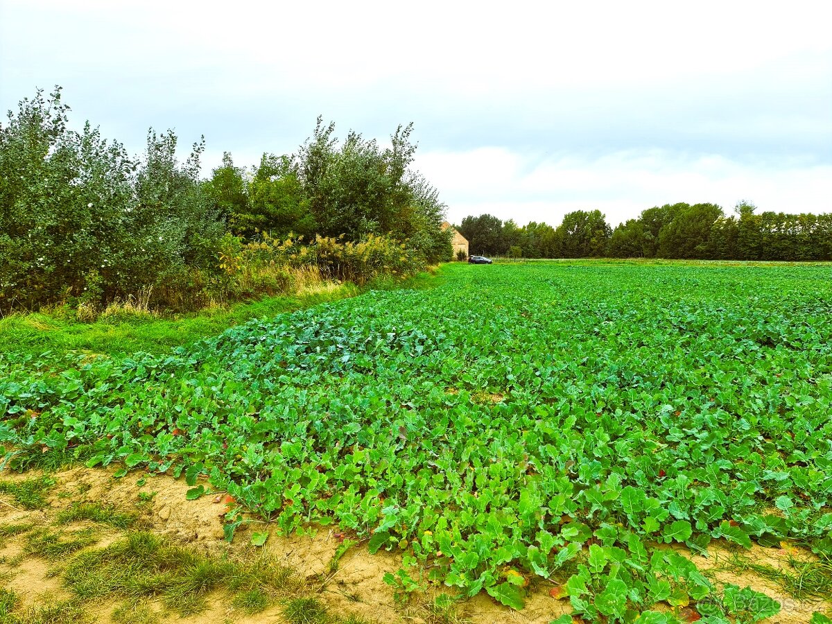 Pozemek v krásné přírodě pro mobilní objekt, zahrádku - 4