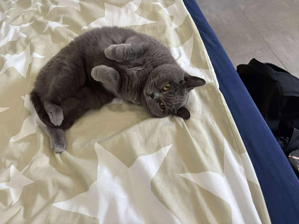 Zralá lady Šeron - 4