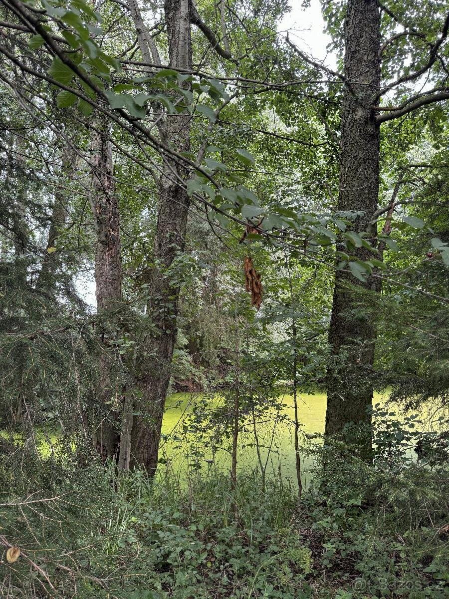 Prodám pozemky v k.ú. Kojice - 4