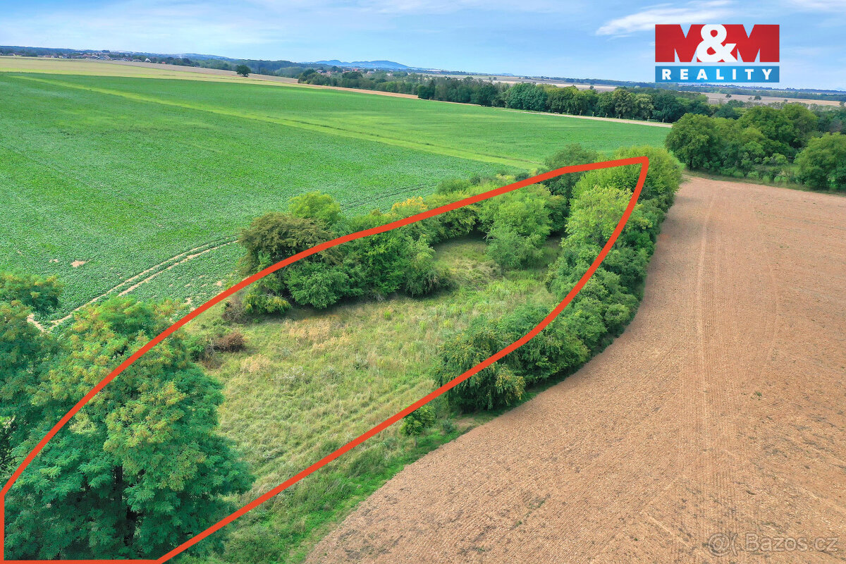 Prodej lesa, 1302 m², Velké Všelisy - 4