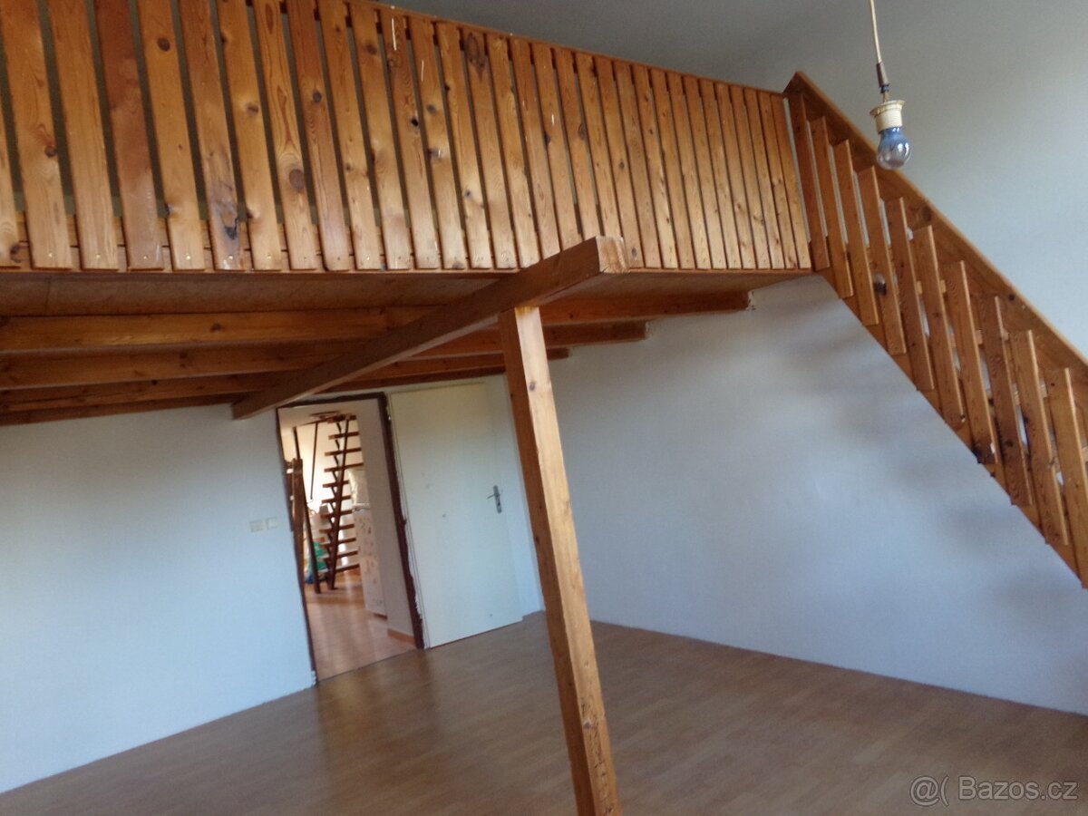 Pronájem bytu 1+1, Podnásepní, 75m2 - 4