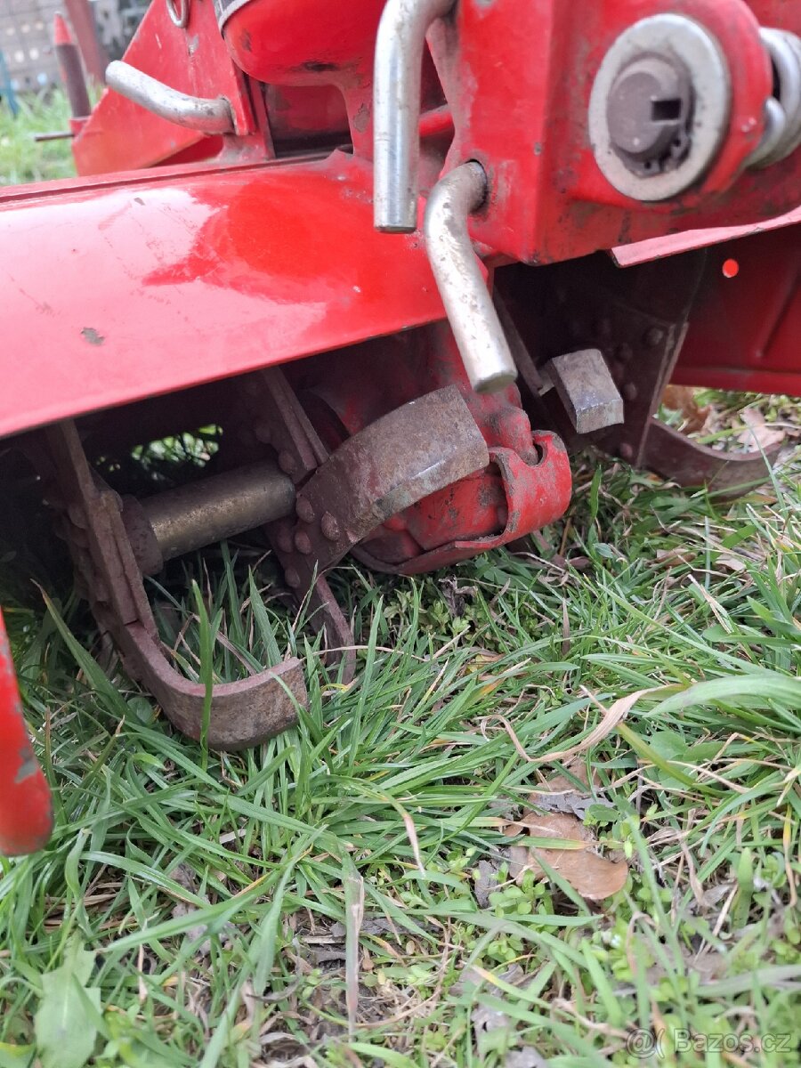 Plečka tera vari - 4