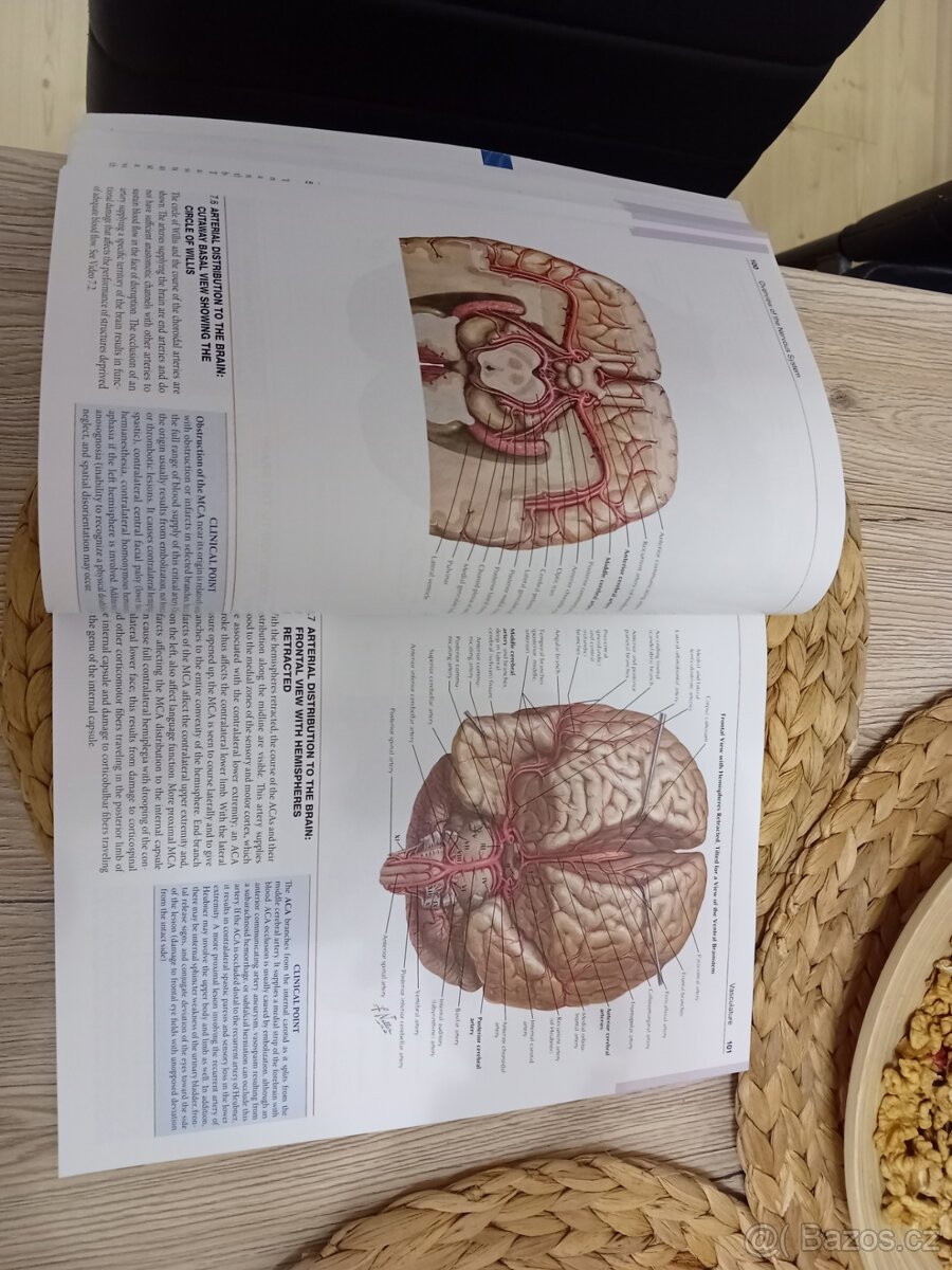Netter's atlas of neuroscience 4th edition - Felten, neuroa - 4