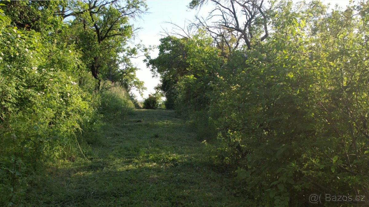 Prodej zahrady v Brně - 4