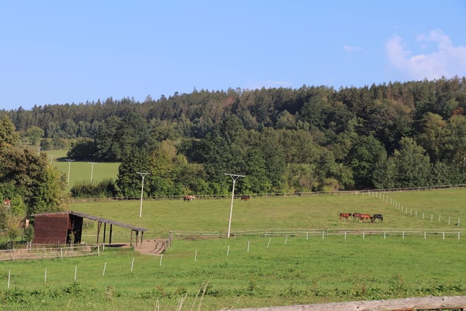 Ustájení koní na Šumavě - 4