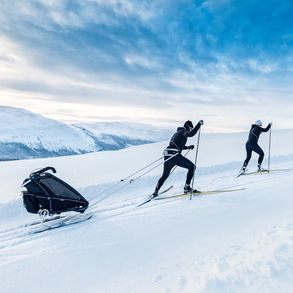 Thule Chariot Sport - 4