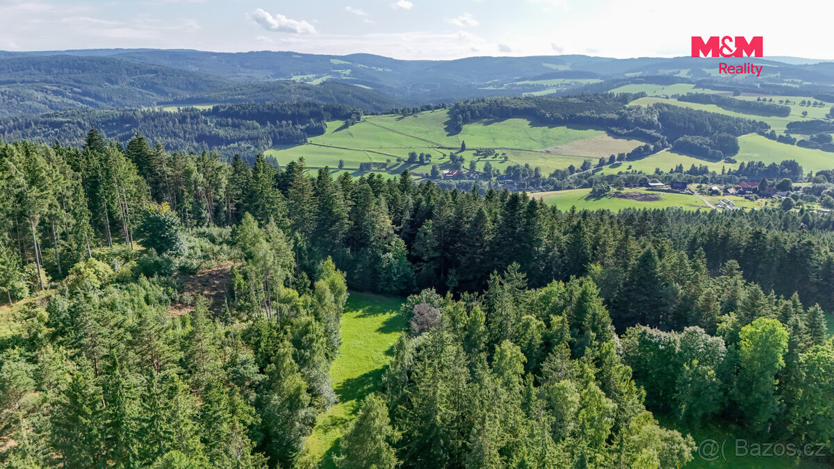 Prodej lesa, 15707 m², Petrovice u Sušice - 4