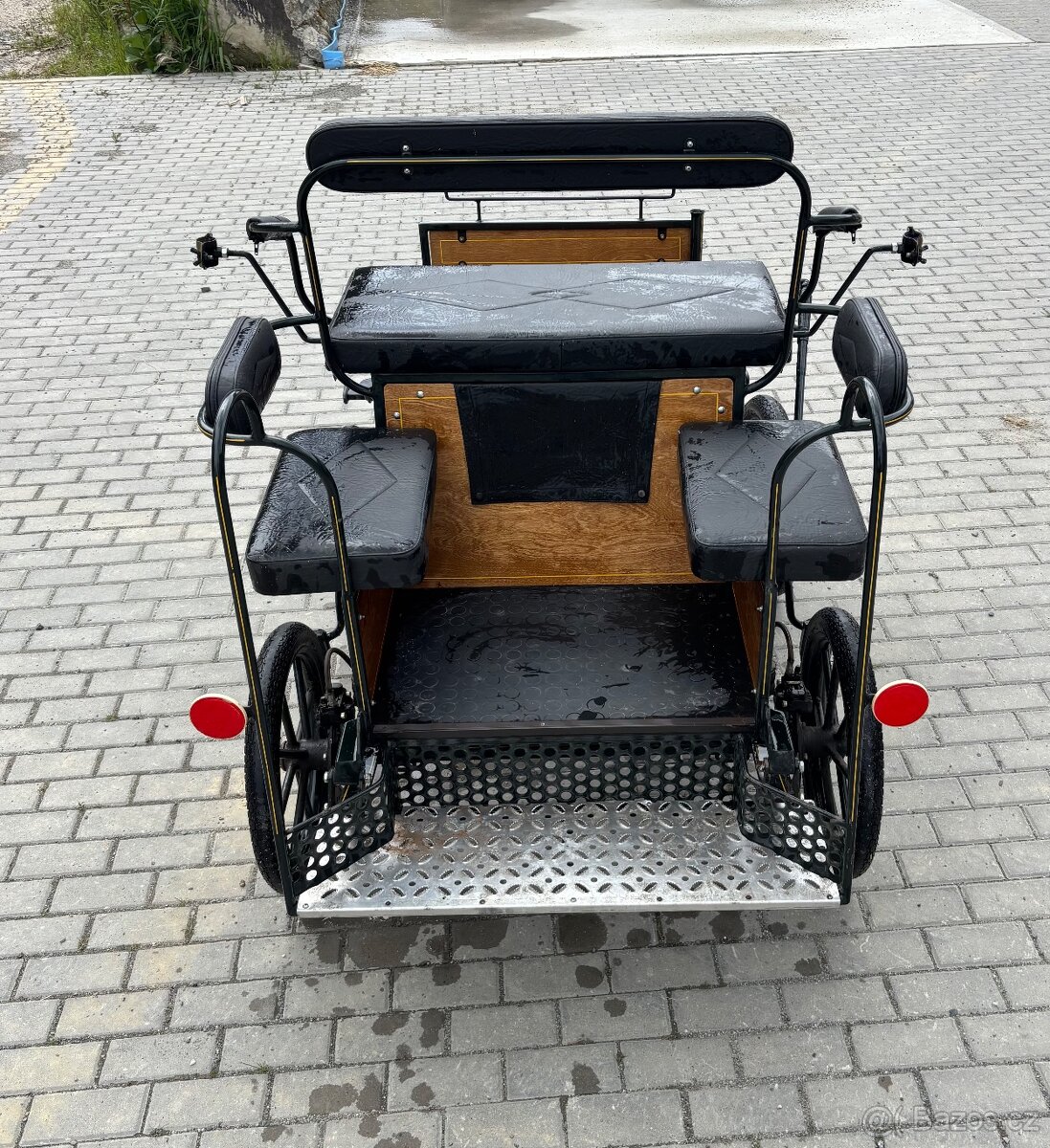 Wagoneta pony - 4