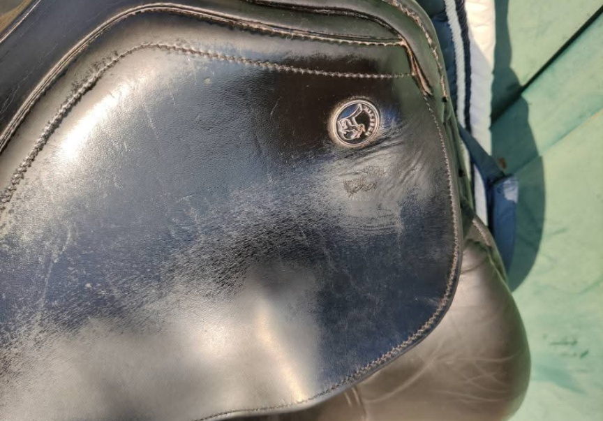 Prodám/vyměním Kieffer Lusitano 17"/2 - 4