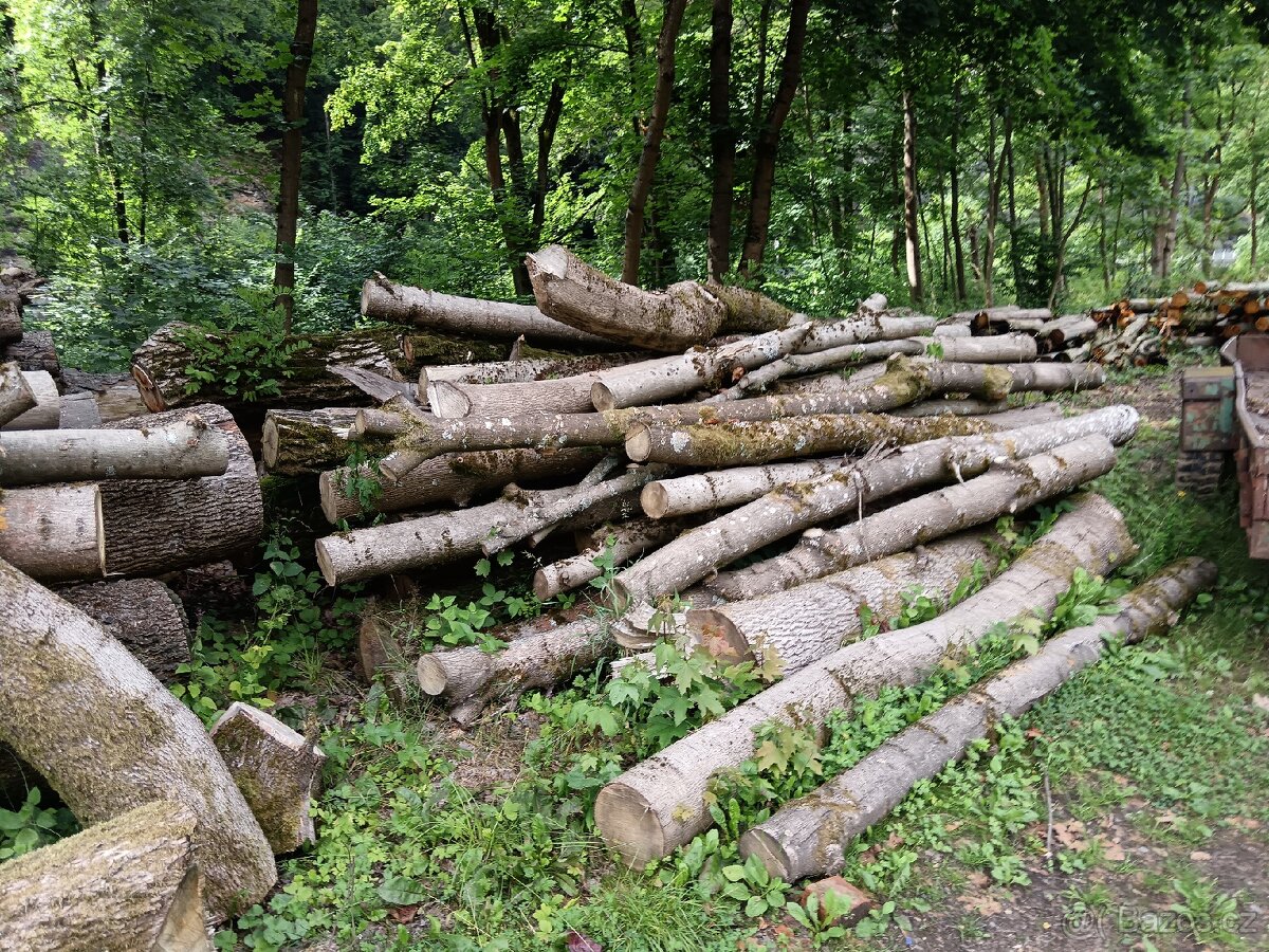 Dřevo na topení - 4