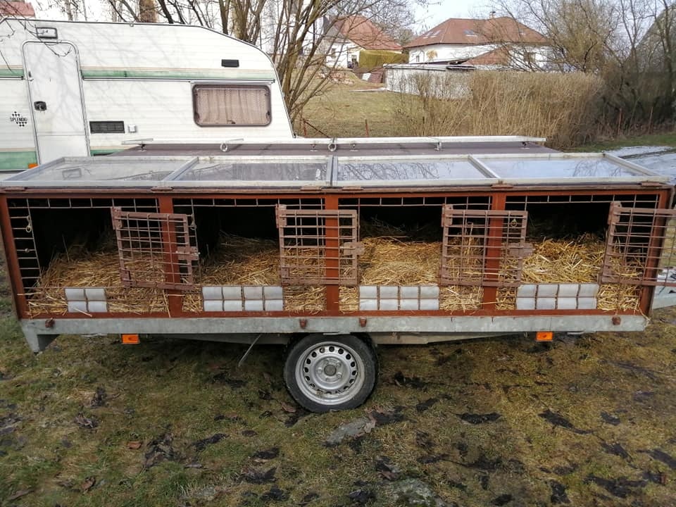 Přepravní vozík na psy - 4