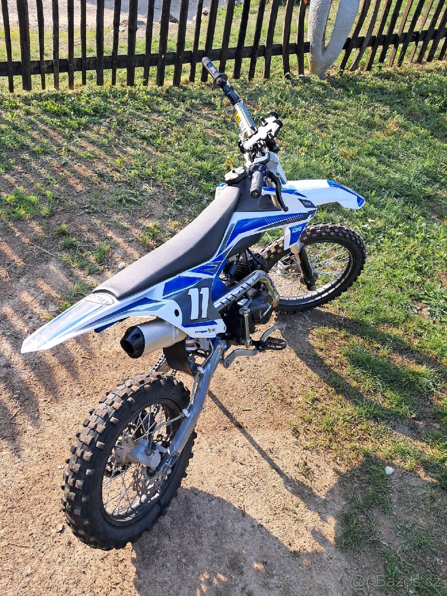 Pitbike Shark 125