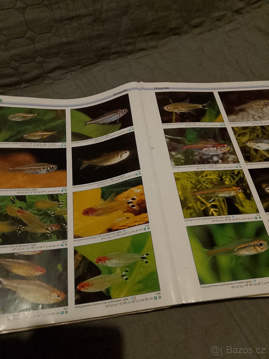 Vede atlas akvaristika - 4